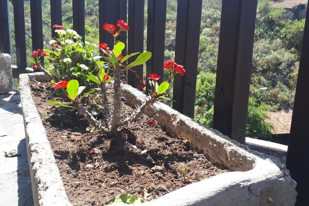 Casa Tia Rosa. Villa Costa Adeje  Exteriör bild